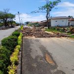 Batang dan ranting pohon hasil penebangan dibiarkan menumpuk di badan jalan depan kompleks kantor pemerintahan Kabupaten Bolaang Mongondow Utara, Selasa, (582025). Penebangan dilakukan oleh Dinas Lingkungan Hidup tanpa penanganan pasca-tebang yang memadai. Foto Dok. binadow.com
