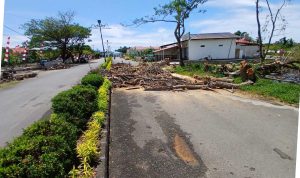 Batang dan ranting pohon hasil penebangan dibiarkan menumpuk di badan jalan depan kompleks kantor pemerintahan Kabupaten Bolaang Mongondow Utara, Selasa, (582025). Penebangan dilakukan oleh Dinas Lingkungan Hidup tanpa penanganan pasca-tebang yang memadai. Foto Dok. binadow.com