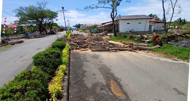 Batang dan ranting pohon hasil penebangan dibiarkan menumpuk di badan jalan depan kompleks kantor pemerintahan Kabupaten Bolaang Mongondow Utara, Selasa, (582025). Penebangan dilakukan oleh Dinas Lingkungan Hidup tanpa penanganan pasca-tebang yang memadai. Foto Dok. binadow.com