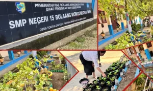 Halaman SMP Negeri Satap 15 Bolmut dengan taman hijau, pot tanaman, serta siswa dan guru yang aktif merawat kebun sekolah untuk program Adiwiyata 2025.