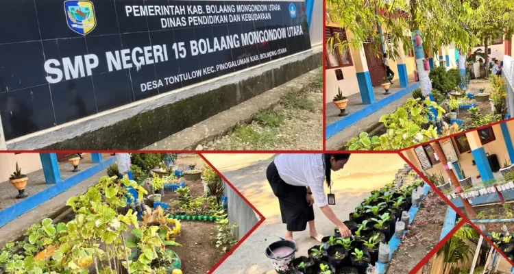 Halaman SMP Negeri Satap 15 Bolmut dengan taman hijau, pot tanaman, serta siswa dan guru yang aktif merawat kebun sekolah untuk program Adiwiyata 2025.