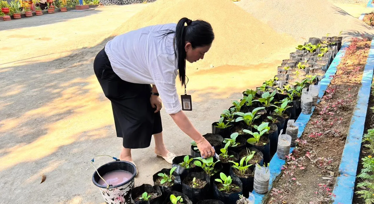 Guru SMP Negeri 15 Bolmut sedang merawat tanaman sayur di polybag, bagian dari upaya menciptakan sekolah ramah lingkungan.