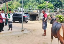 Foto penyerahan hewan kurban oleh pengurus PDI Perjuangan Bolmut kepada masyarakat Desa Inomunga, Kecamatan Kaidipang, Jumat, (22/5/2026). Bantuan tersebut berasal dari Ketua Fraksi PDI Perjuangan DPRD Bolmut, Dewi Zandra Astuti Mondo, dalam rangka menyambut Hari Raya Iduladha 1447 Hijriah.