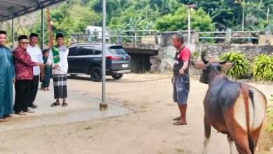 Foto penyerahan hewan kurban oleh pengurus PDI Perjuangan Bolmut kepada masyarakat Desa Inomunga, Kecamatan Kaidipang, Jumat, (22/5/2026). Bantuan tersebut berasal dari Ketua Fraksi PDI Perjuangan DPRD Bolmut, Dewi Zandra Astuti Mondo, dalam rangka menyambut Hari Raya Iduladha 1447 Hijriah.
