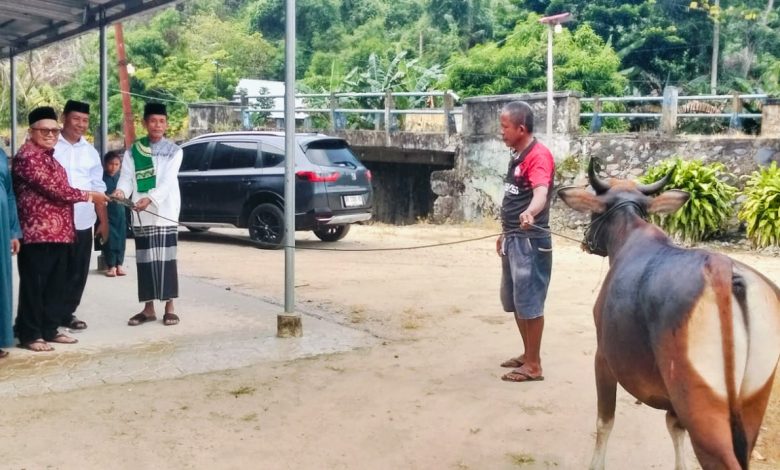 Foto penyerahan hewan kurban oleh pengurus PDI Perjuangan Bolmut kepada masyarakat Desa Inomunga, Kecamatan Kaidipang, Jumat, (22/5/2026). Bantuan tersebut berasal dari Ketua Fraksi PDI Perjuangan DPRD Bolmut, Dewi Zandra Astuti Mondo, dalam rangka menyambut Hari Raya Iduladha 1447 Hijriah.