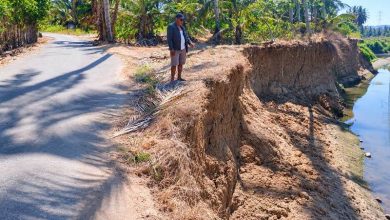 Anggota DPRD Boltara Meidi Pontoh meninjau kondisi tebing sungai yang mengikis areal di sisi jalan perkebunan Desa Biontong, Kecamatan Bolang Itang Timur. badan jalan hampir putus, Selasa (1/9/2026).