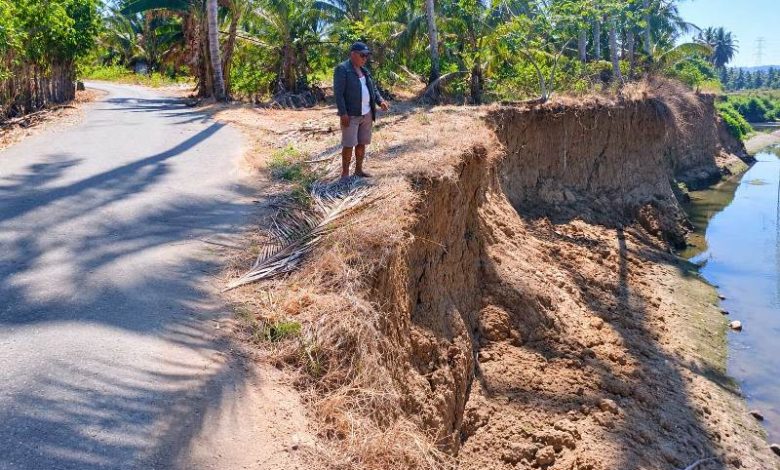 Anggota DPRD Boltara Meidi Pontoh meninjau kondisi tebing sungai yang mengikis areal di sisi jalan perkebunan Desa Biontong, Kecamatan Bolang Itang Timur. badan jalan hampir putus, Selasa (1/9/2026).
