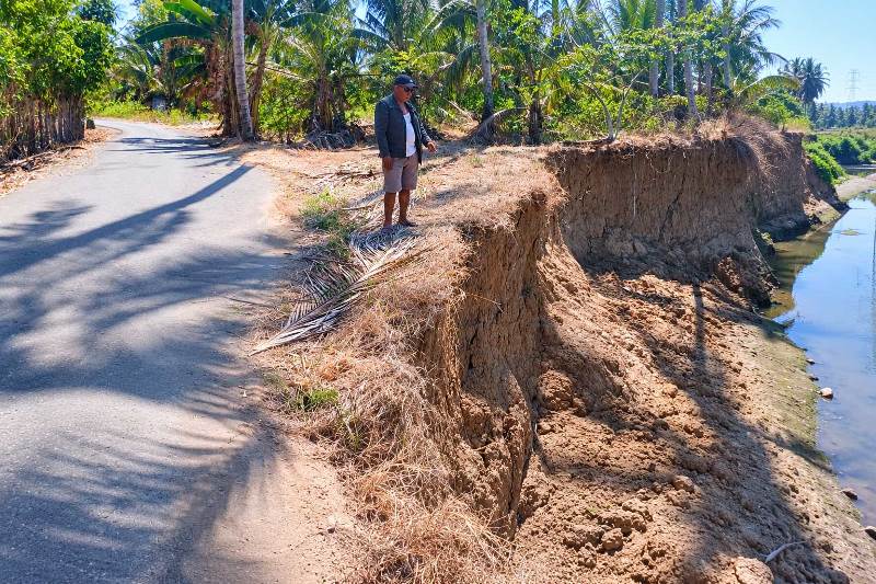 Anggota DPRD Boltara Meidi Pontoh meninjau kondisi tebing sungai yang mengikis areal di sisi jalan perkebunan Desa Biontong, Kecamatan Bolang Itang Timur. badan jalan hampir putus, Selasa (1/9/2026).